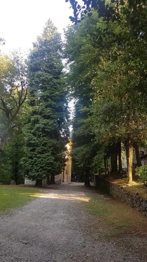 Guest House Seme Di Faggio Miasino Exterior photo